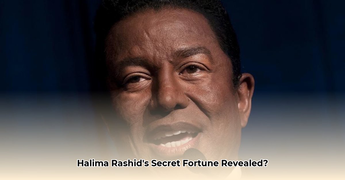 halima-rashid-net-worth